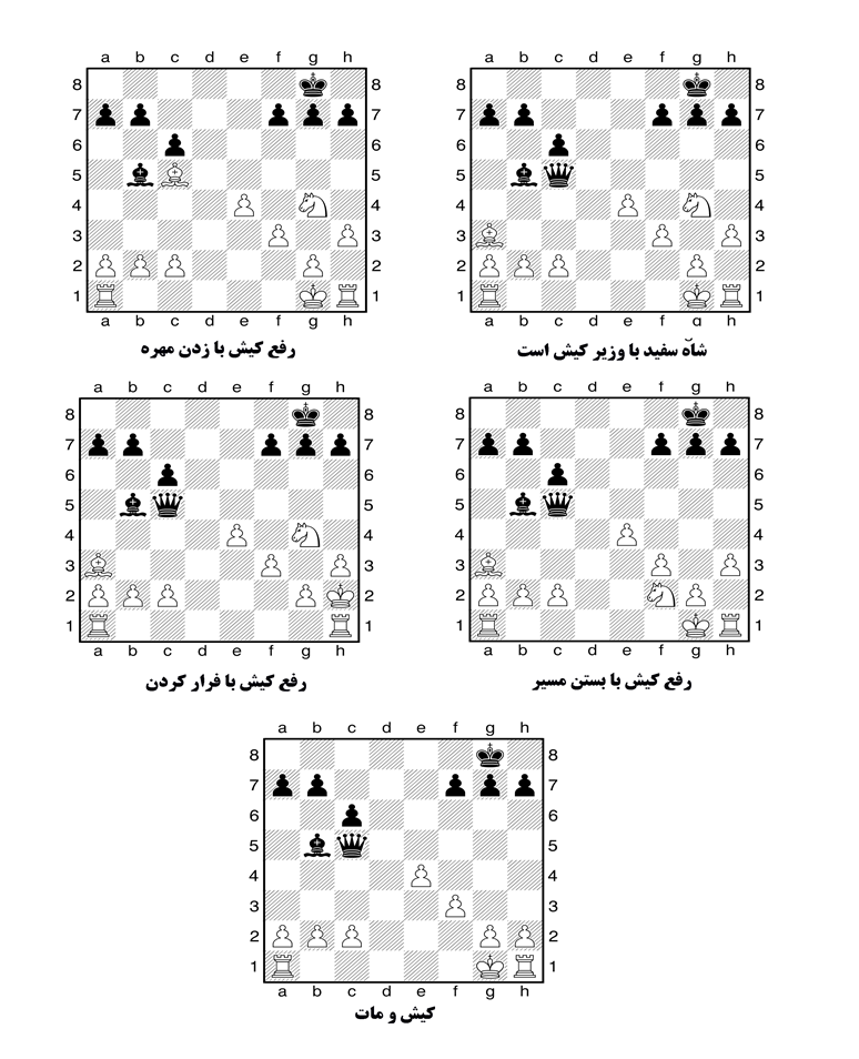 آموزش رفع کیش در شطرنج توسط مدرسه شطرنج مشهد