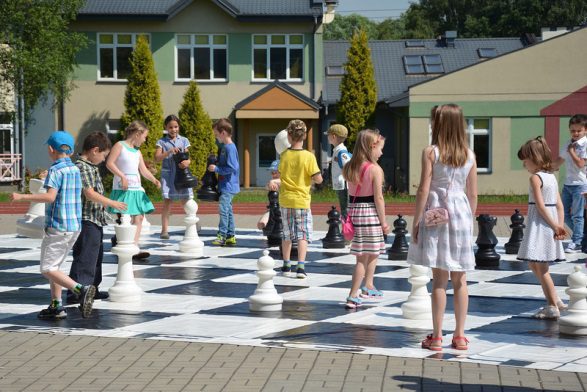آموزش مبتدی و حرفه ای شطرنج برای همه