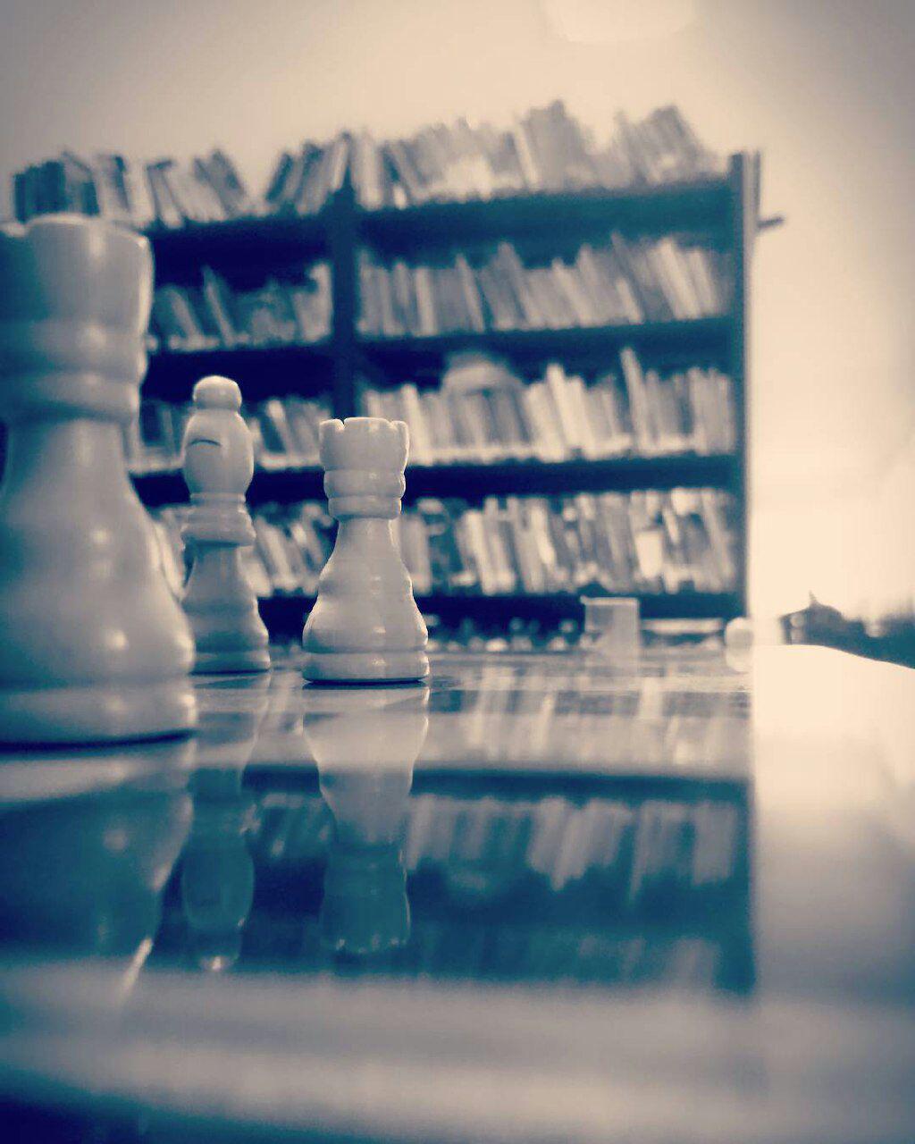 قوانین و مقررات شطرنج