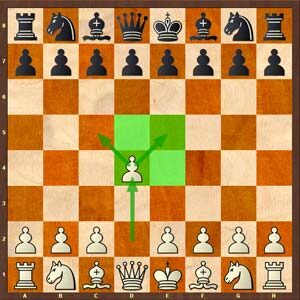 1. d4 شروع بازی و گشایش شطرنج با تصاحب مرکز اصلی