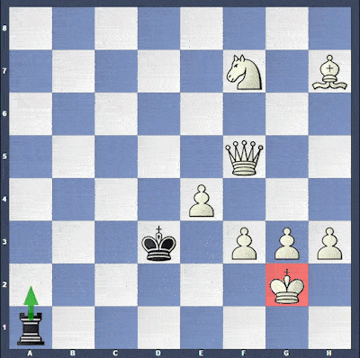 حل تمارین مساوی در شطرنج با کیش دائم