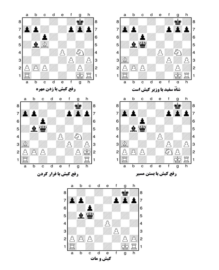 دیاگرام مثالهای آموزش کیش و مات در شطرنج