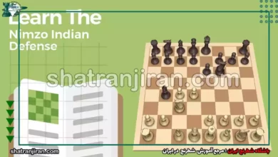 دفاع نیمزو هندی - انواع دفاع در شطرنج