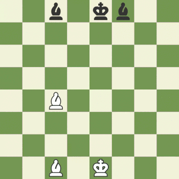 حرکت فیل در شطرنج - حرکت مهره ها در شطرنج