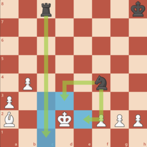 محدودیت حرکت شاه در شطرنج - حرکت مهره ها در شطرنج